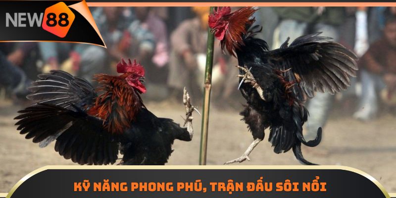 Kỹ năng phong phú, trận đấu sôi nổi